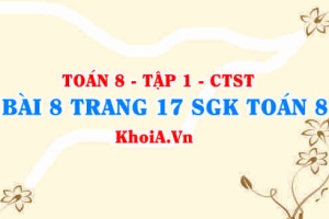 Bài 8 trang 17 SGK Toán 8 Tập 1 Chân trời sáng tạo